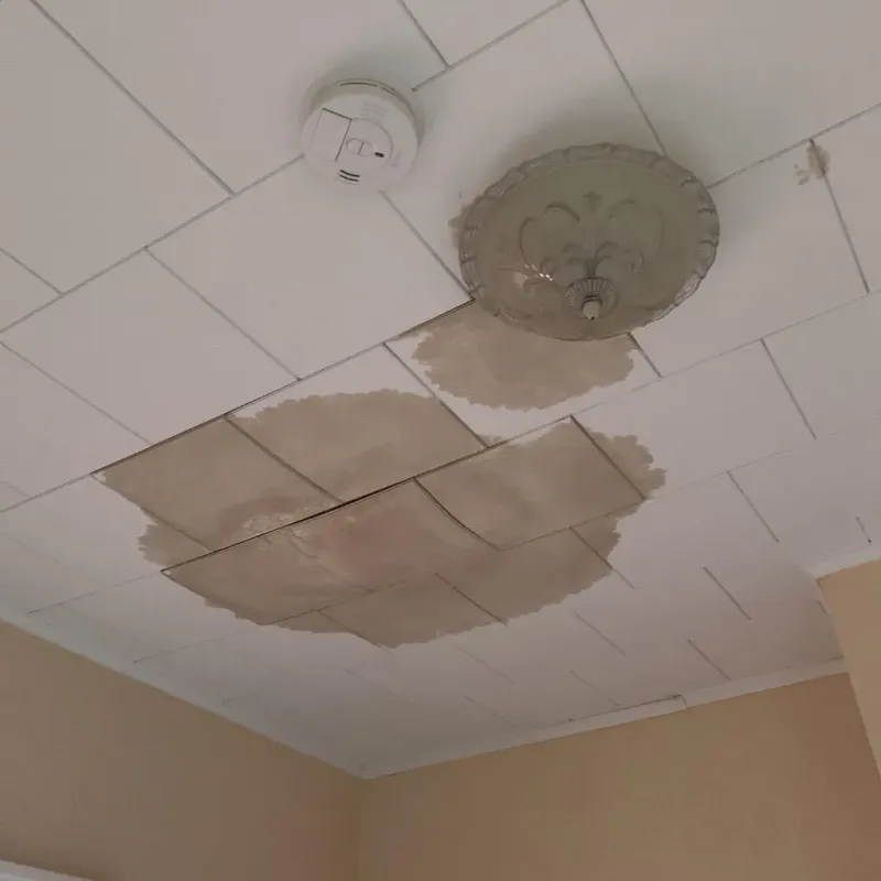 Ceiling Water Damage Repair in Onslow County, NC