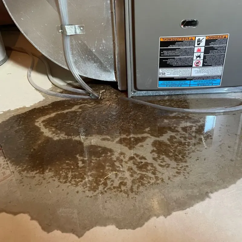 Pipe Burst and Leak Restoration in Onslow County, NC