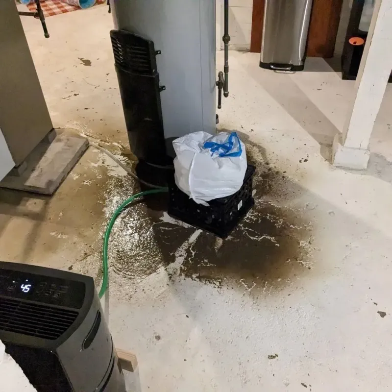 Sewage Backup Cleanup Service in Onslow County, NC